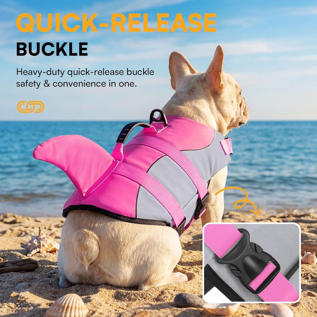 Best Safety Gear for Dogs on Outdoor Adventures