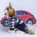 Pomeranian Chic Cashmere Hoodie