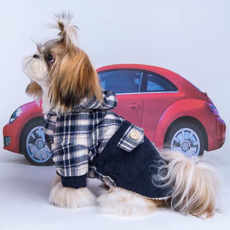 Pomeranian Chic Cashmere Hoodie